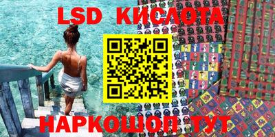 гидра Краснокаменск