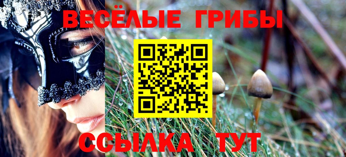 Галлюциногенные грибы Psilocybe Казань