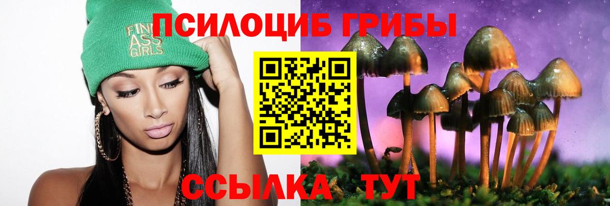 Казань  как найти наркотики  Псилоцибиновые грибы мухоморы  Вход с VPN  Псилоцибиновые грибы GOLDEN TEACHER 