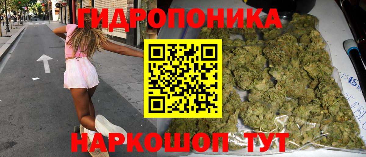 Конопля гибрид Казань